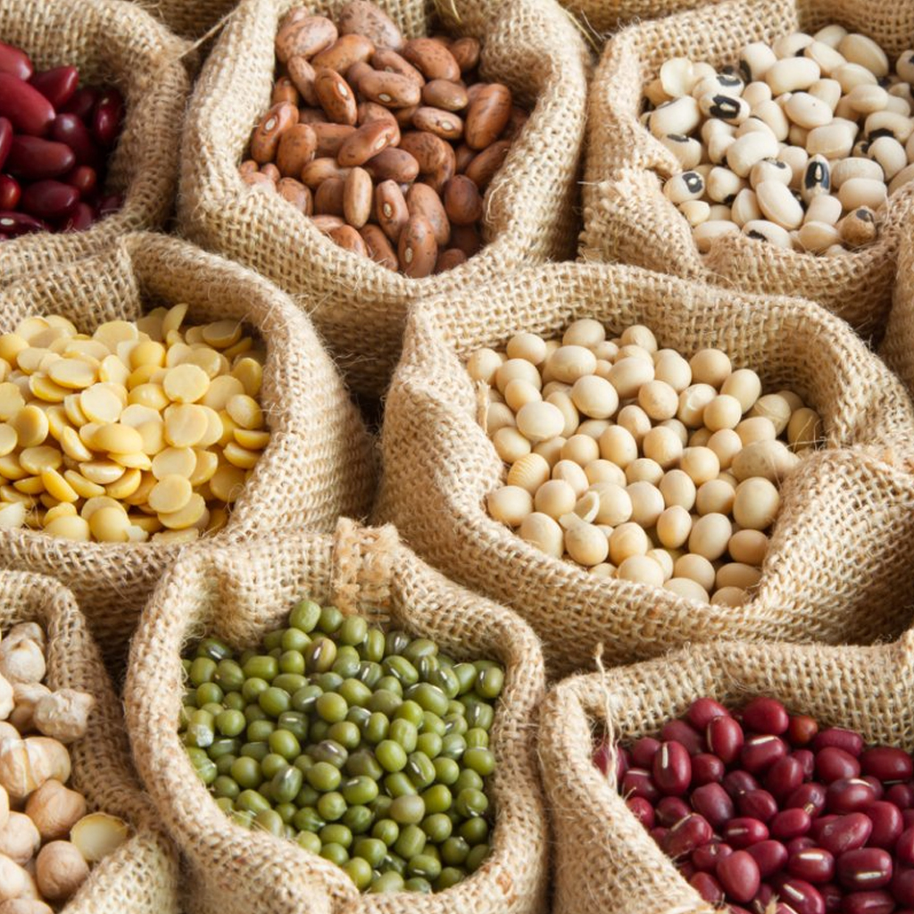 Seeds